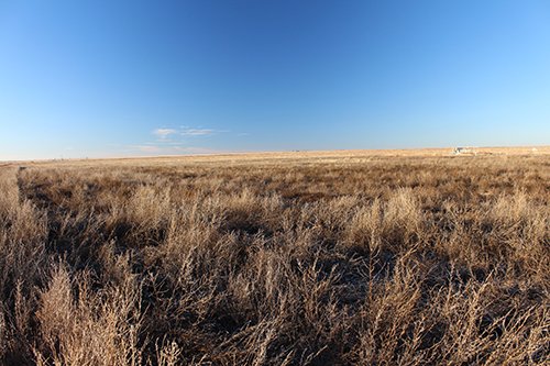 TRACT 2 - REAL ESTATE & MINERAL AUCTION - 640+/- ACRES & PRODUCING MINERALS OFFERED IN 8 TRACTS IN MORTON COUNTY, KANSAS